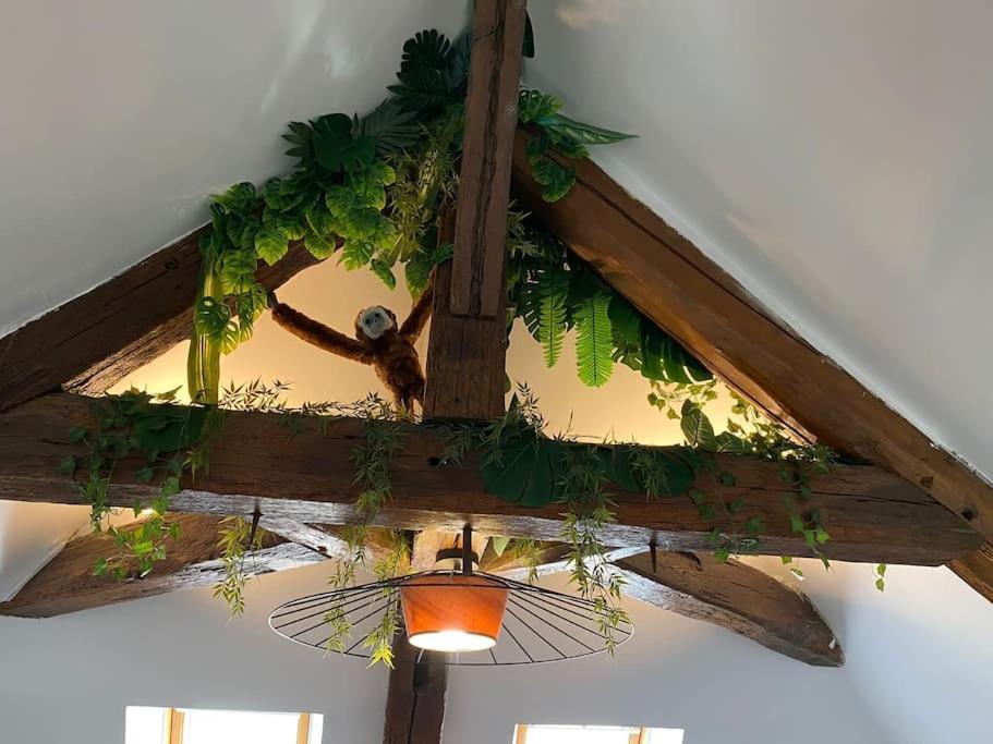 Sous Les Tropiques D'Ablis Apartamento Exterior foto